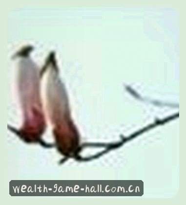 周琳